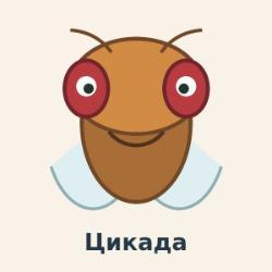 Цикада